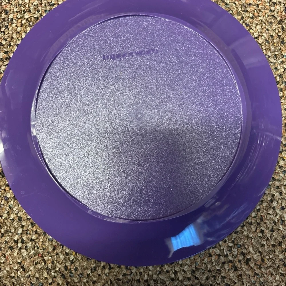 Tupperware Purple Dinner Plates Set of 4